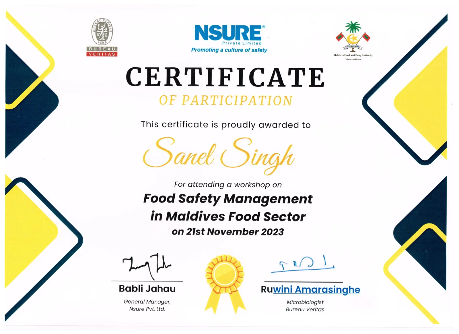NSURE Training Certificate 1